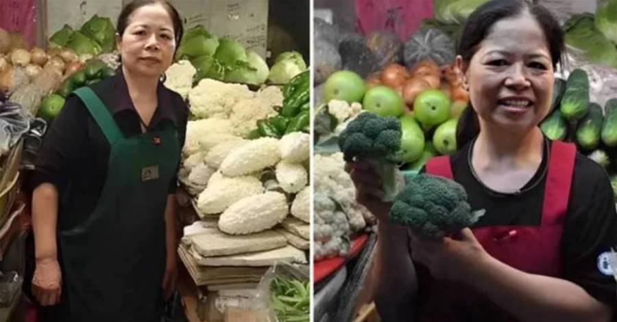 台東72歲賣菜阿姨陳樹菊，每日工作18小時48年不間斷，賺上千萬全捐出，網讚：平凡而又偉大 - | 點知天下