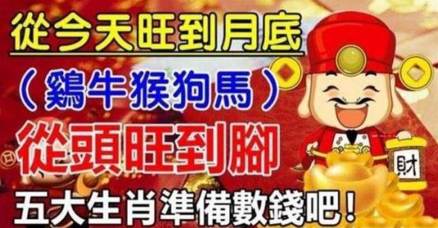 從今天旺到月底，從頭旺到腳的五大生肖 - | 生肖命理