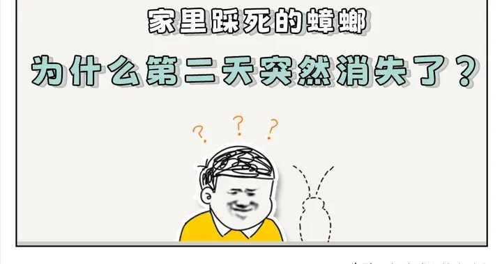 被踩扁的蟑螂，第二天會自己復活嗎？