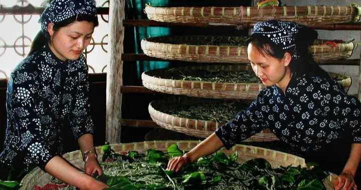 明清時期，桑蠶業發展處于什麼水平？為何嘉湖地區桑蠶經濟最好？